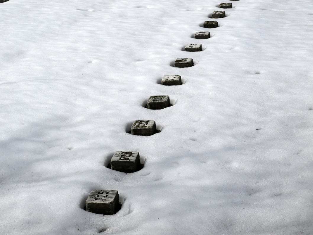 The Numbered Unkown Buried Under Snow The Numbered Unkown Buried Under Snow