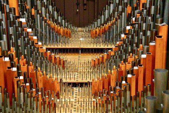 Pipe Organ and Gallery