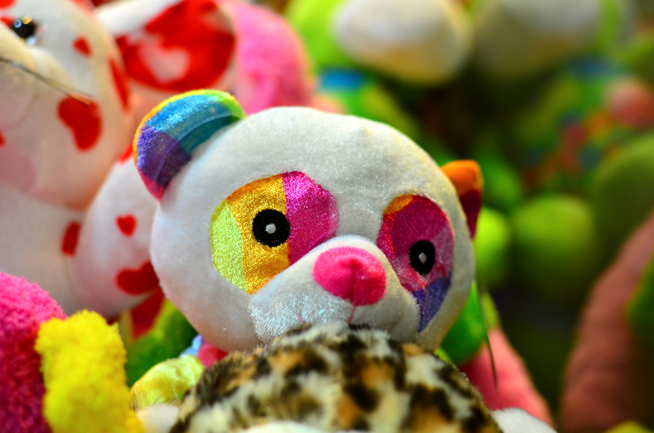 Rainbow Eyes Rainbow Eyes