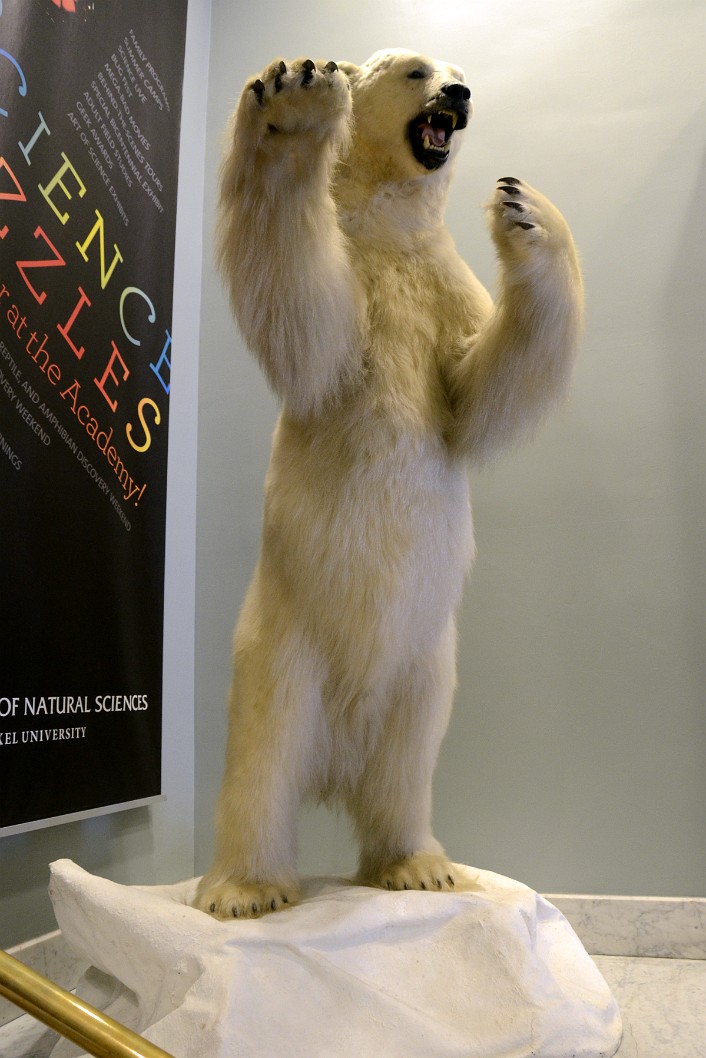 Tall Polar Bear Tall Polar Bear