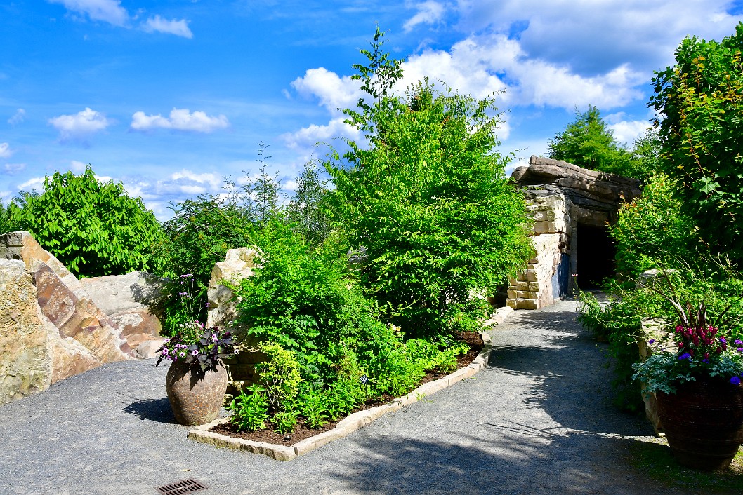 Dry Rocks and Green Growth