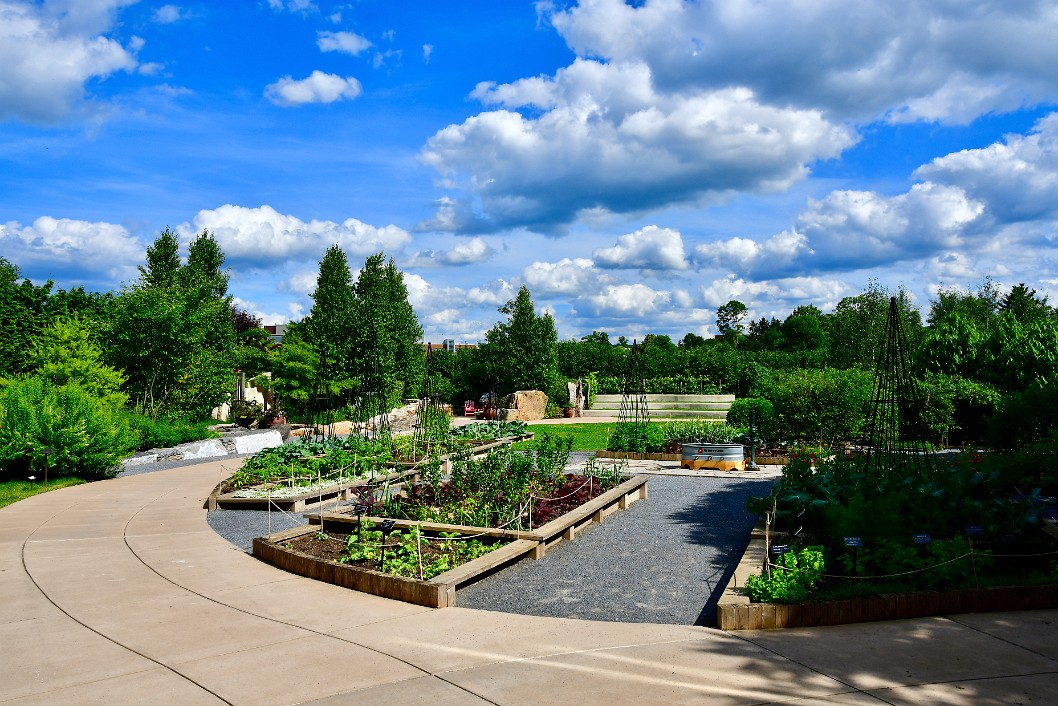 Growing Beds