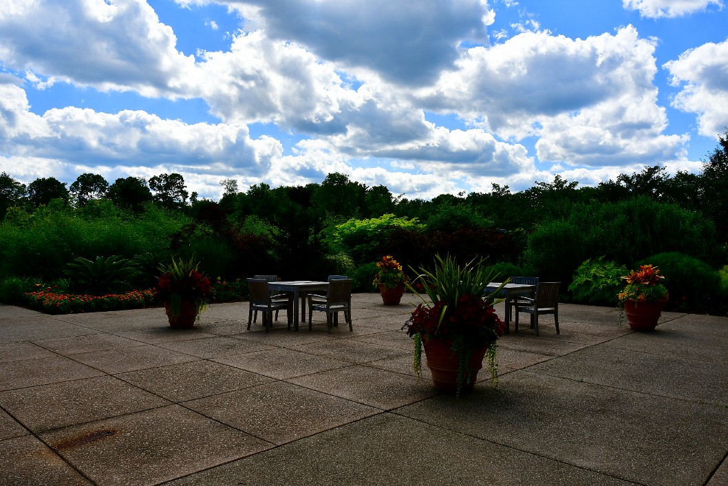 Cottony Clouds