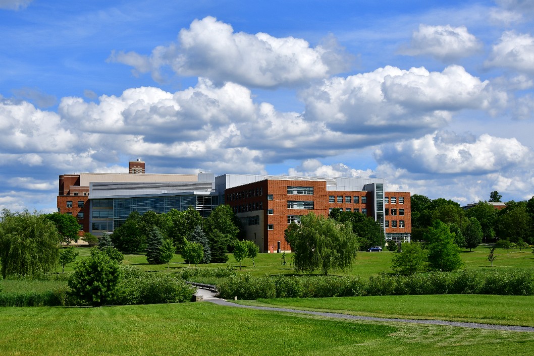 Across the Meadow to the Business Building