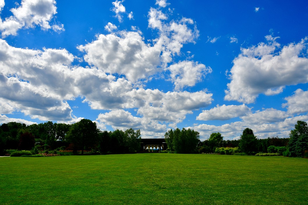 Lawn Under a Sunny Cloudy Sky