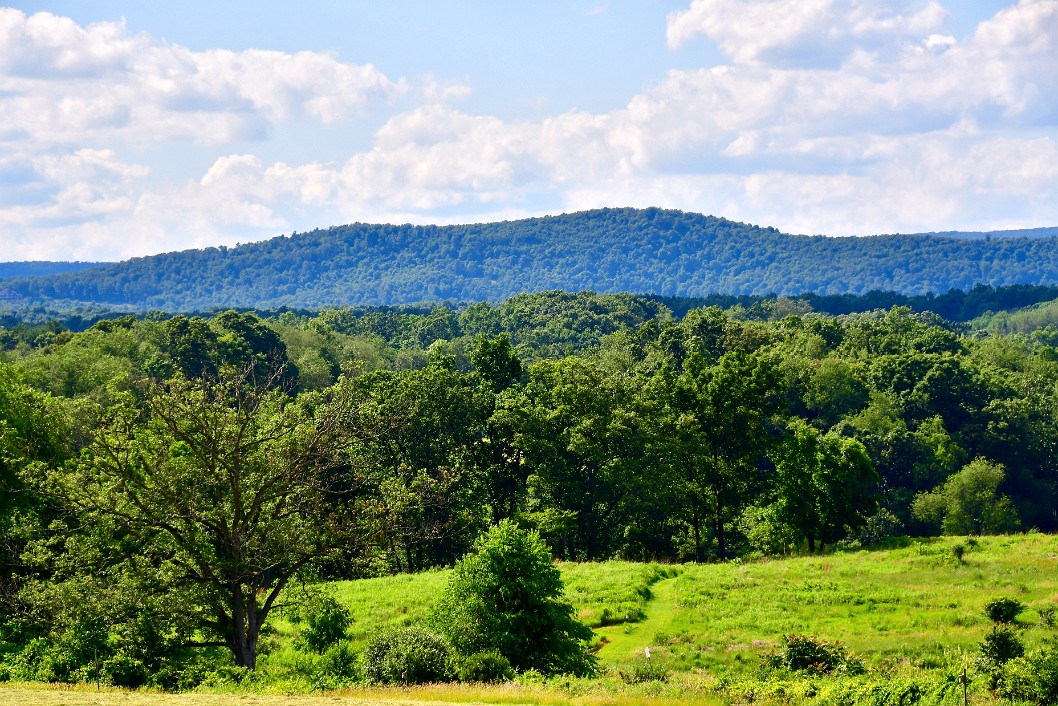 Distant Mountains