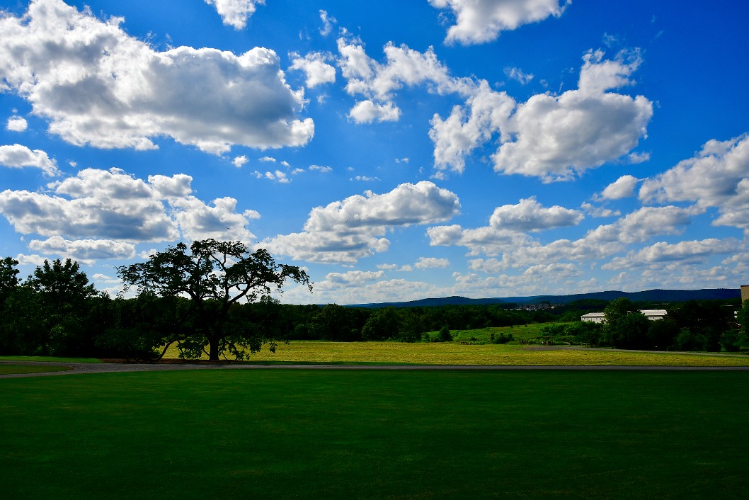 Pastoral Scene