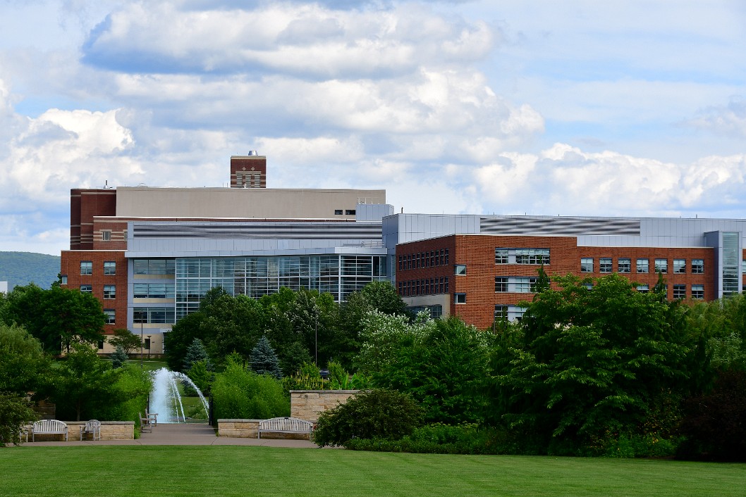 View to the Fountain